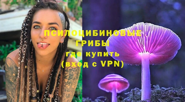 дживик Корсаков