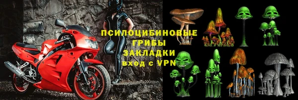 прущие грибы Кулебаки