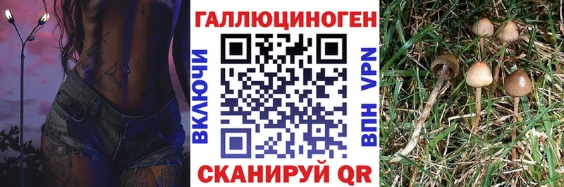 гидра вход  Богучар  Псилоцибиновые грибы GOLDEN TEACHER  хочу  