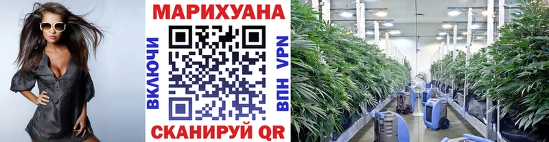 сайты даркнета состав  Богучар  МАРИХУАНА SATIVA & INDICA 